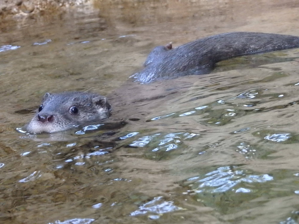 PA267509.jpg