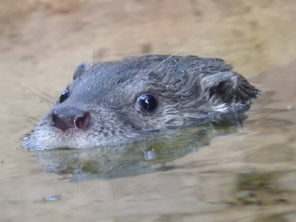 PA267519.jpg
