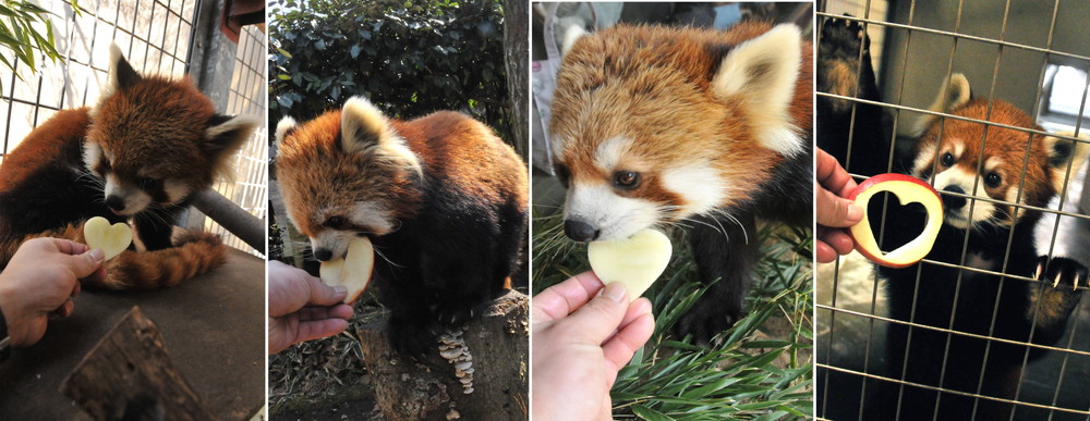 名称未設定 1.jpg