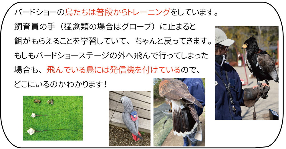 飼育員 畜産業界が抱える課題、獣医師不足をテクノロジーで支援。家畜の