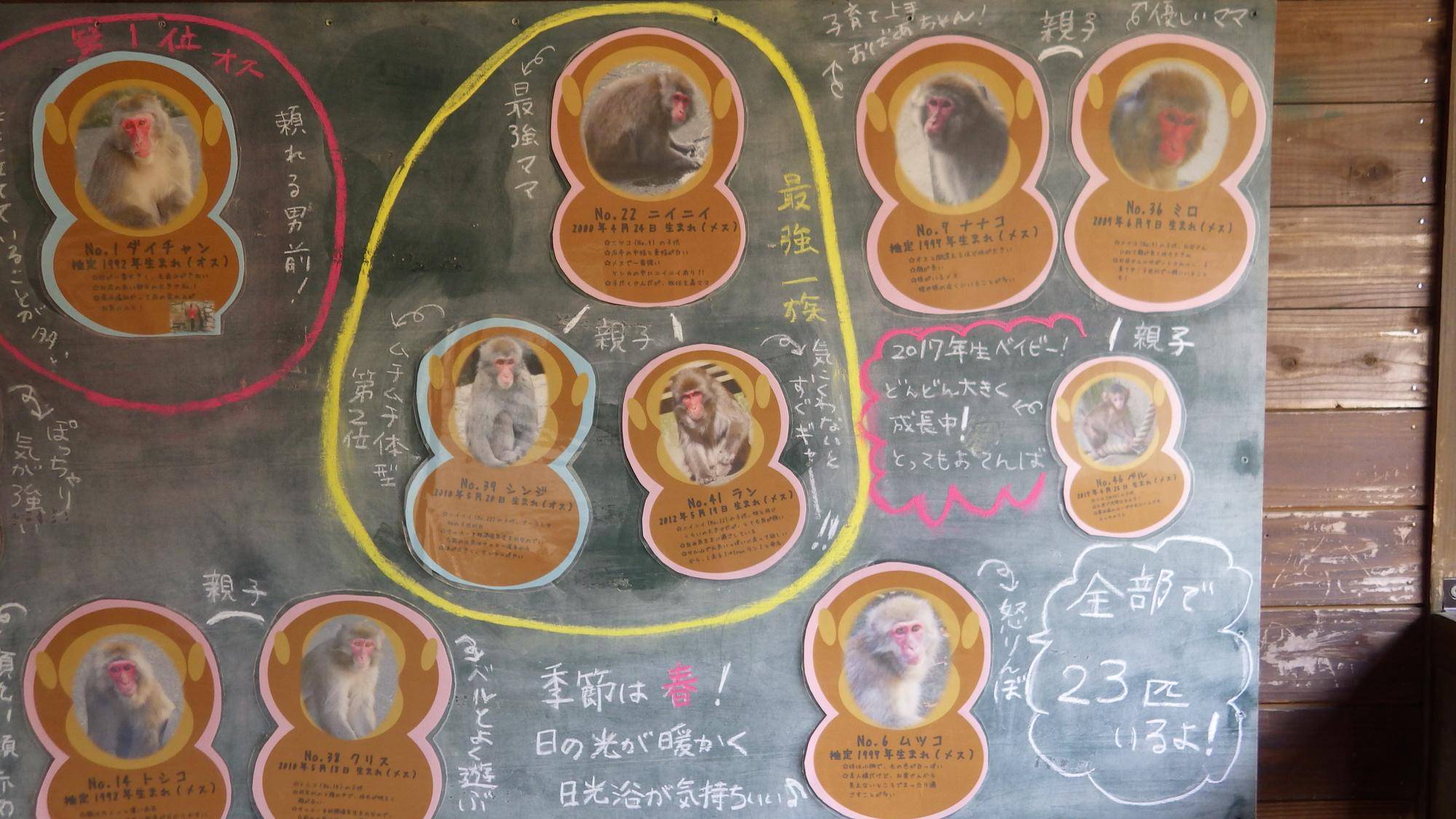 2018年?の個体紹介看板 (3).jpg