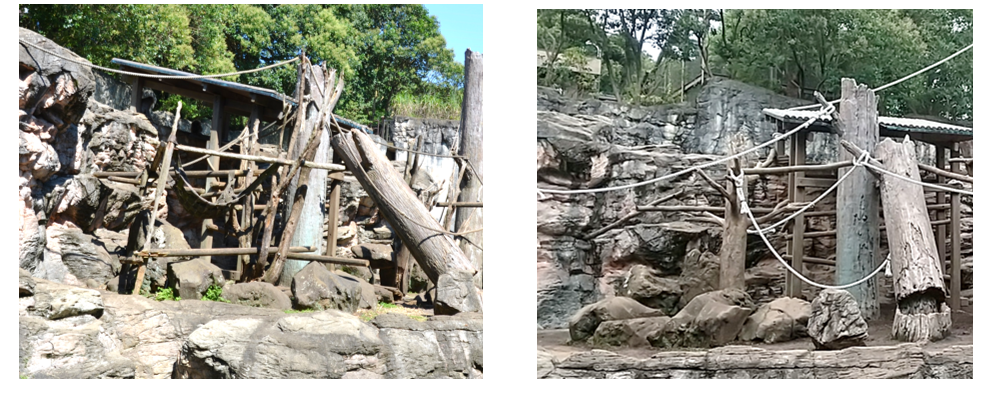 ‼ ニホンザル展示場 リニューアルしました ‼4.png