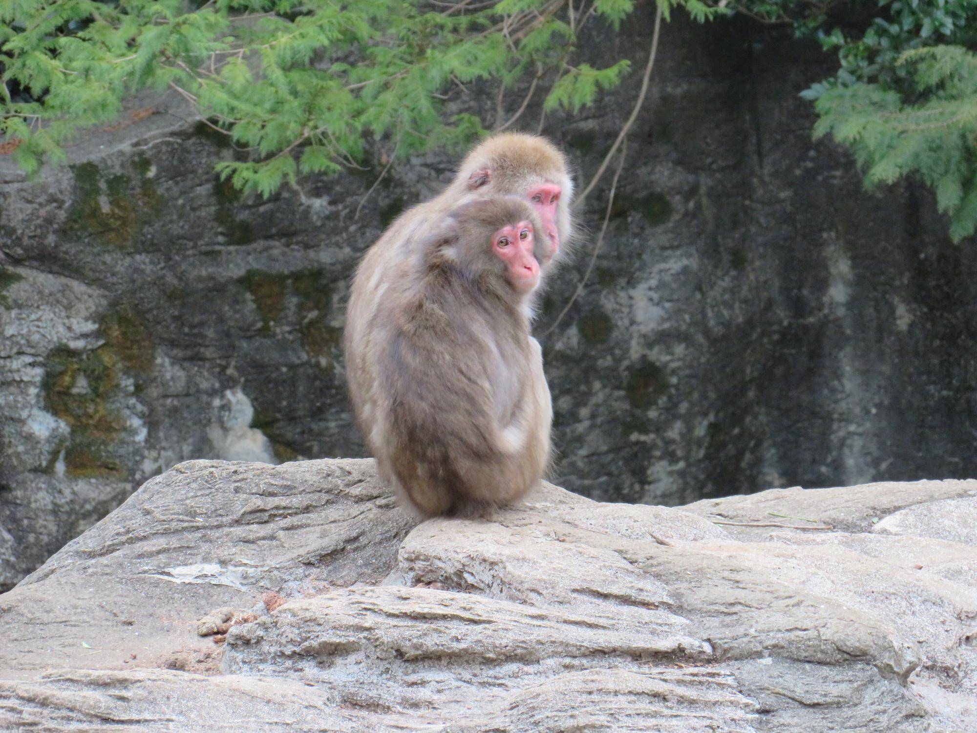 色の違い (2).jpg