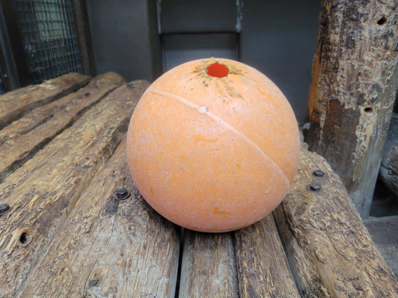 餌が入ったフロート