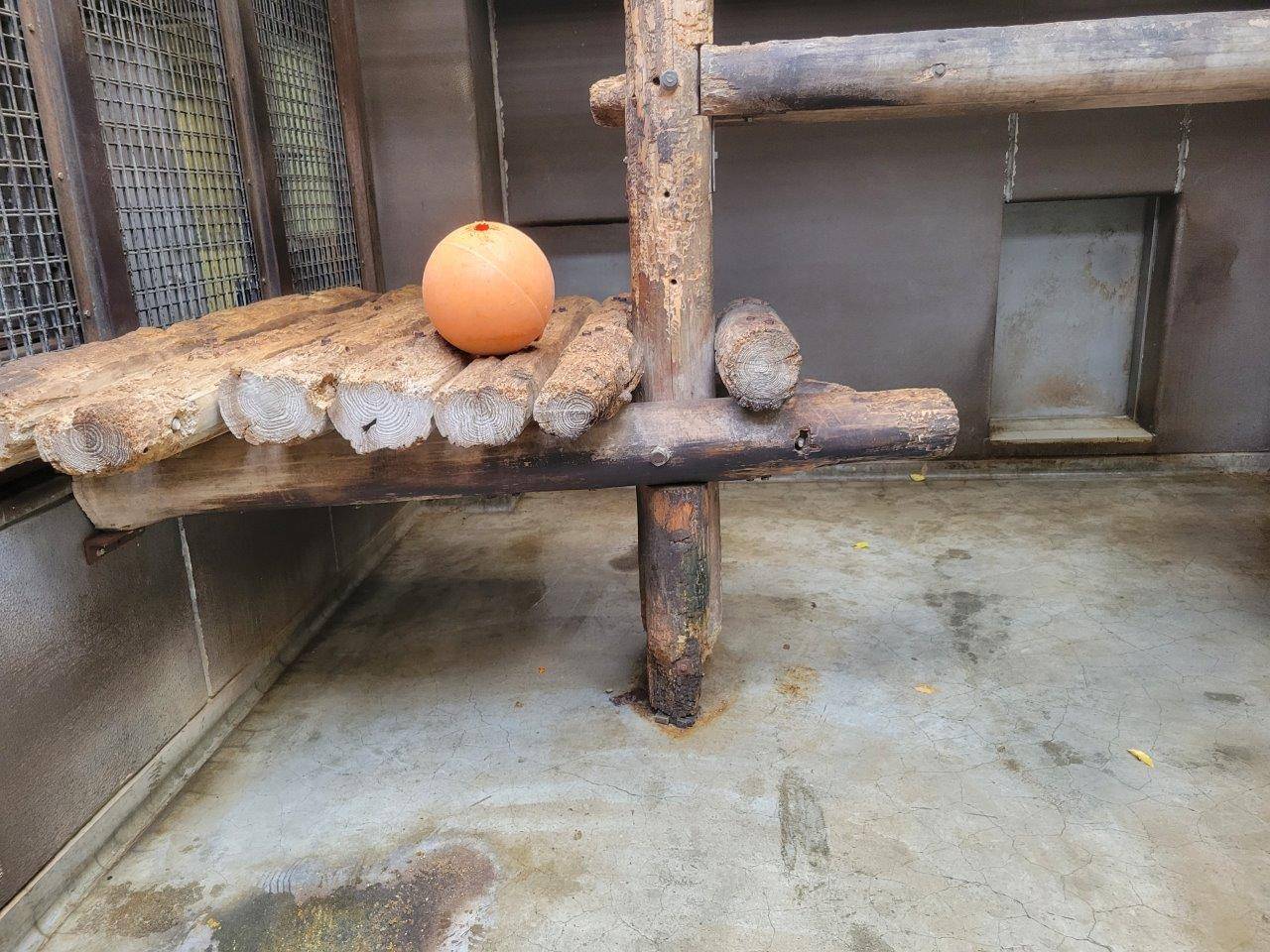 サブ運動場の寝台上に置かれたフロート