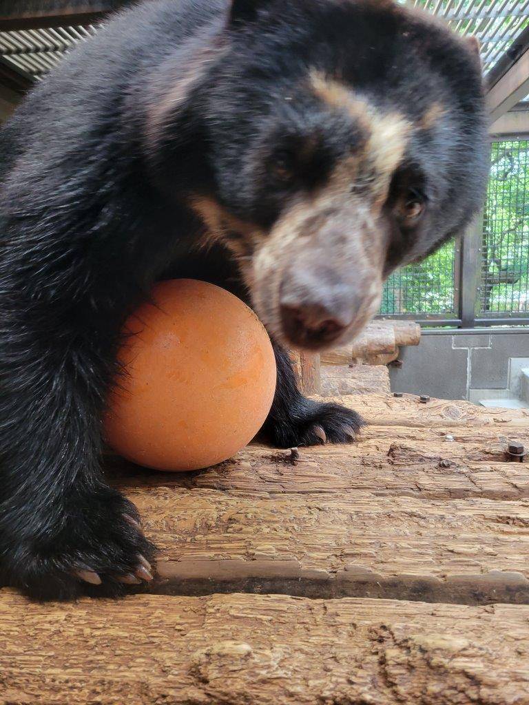 フロートを抱える雪雄