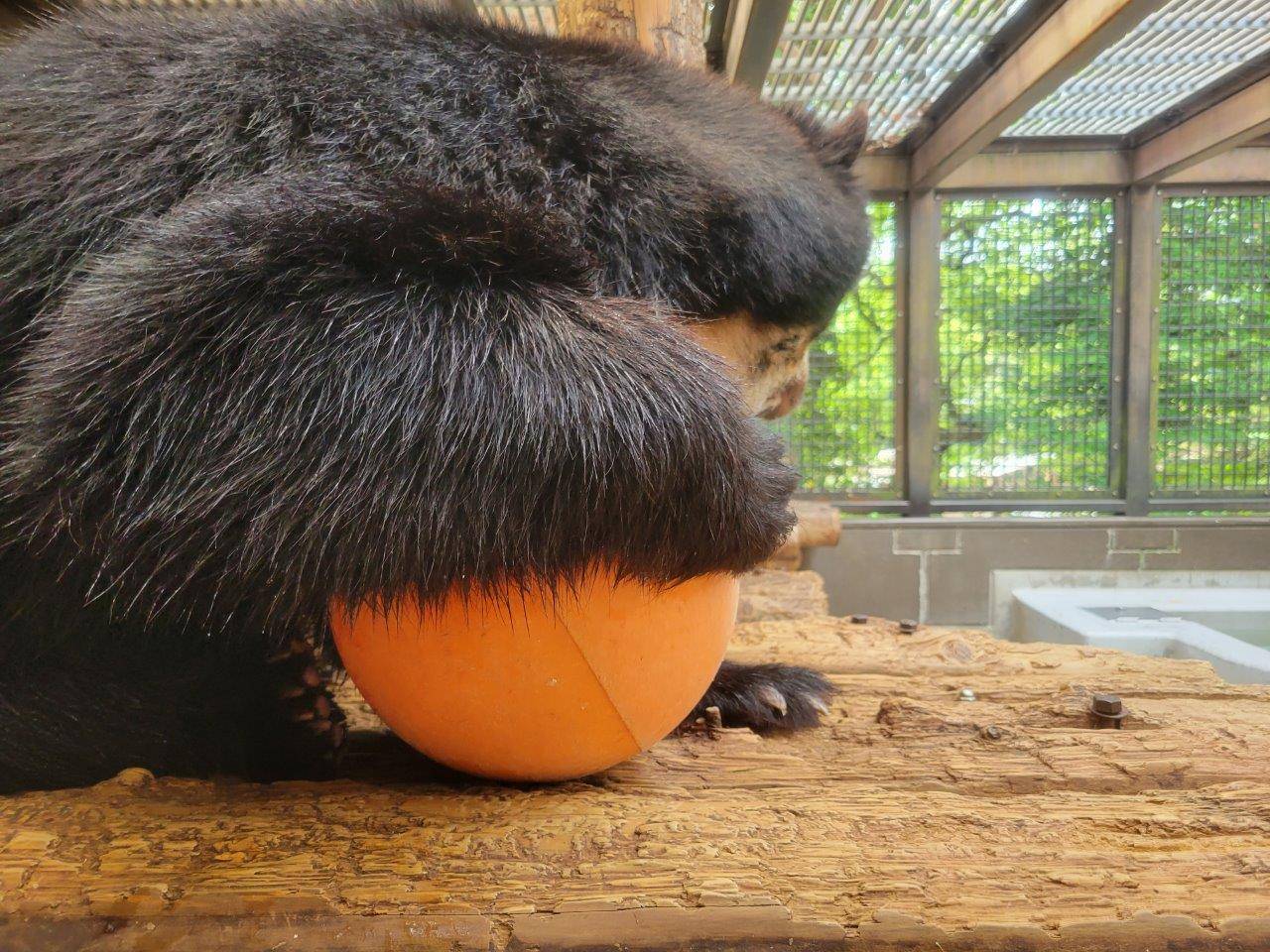 フロートを回転させて、中身を出す雪雄①