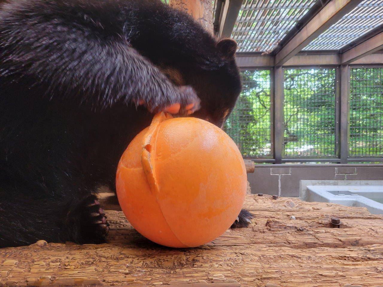 フロートを回転させて、中身を出す雪雄②