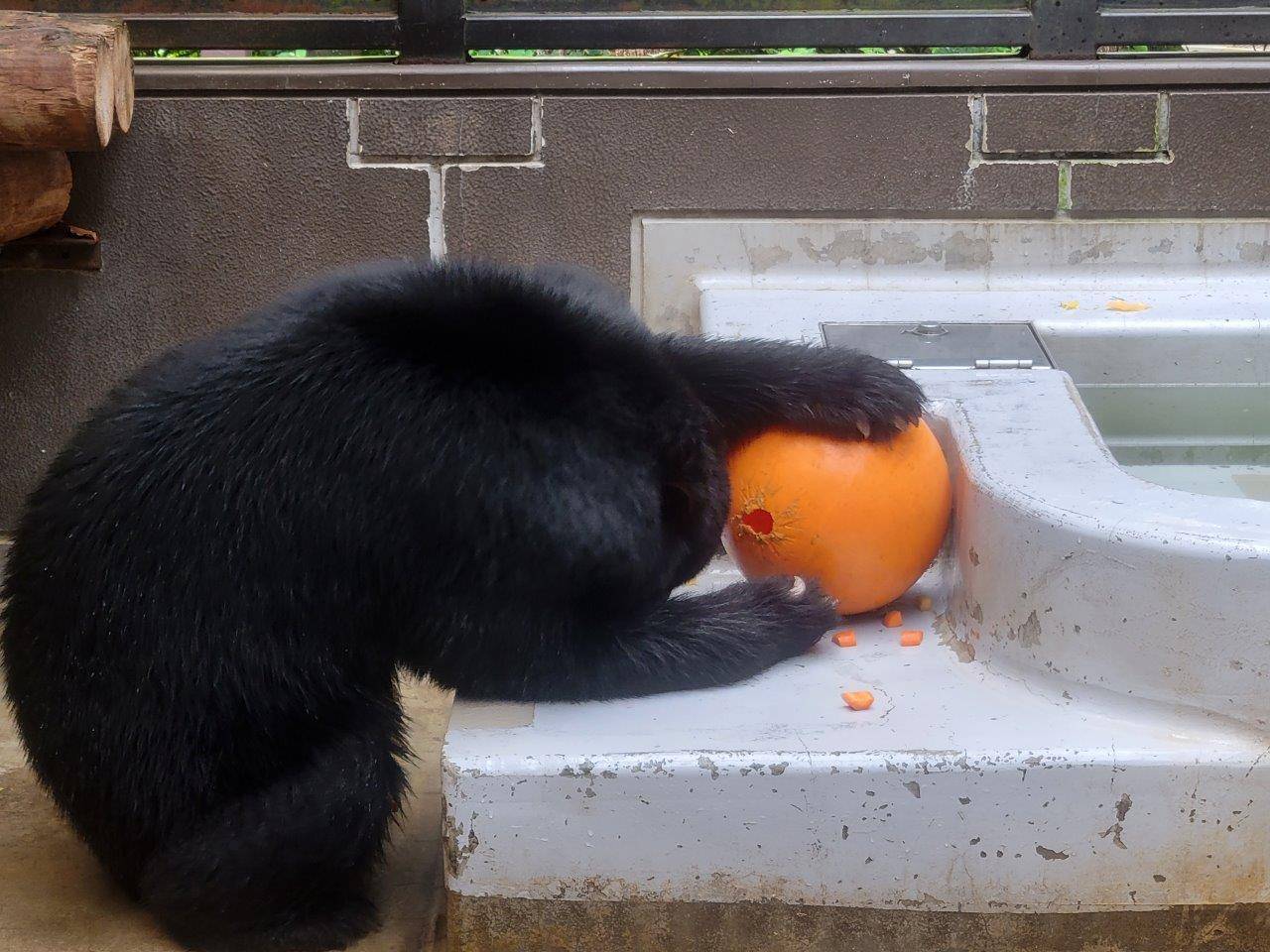 フロートを回転させて、中身を出す雪雄④