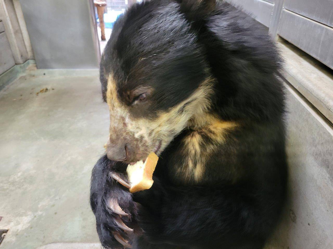 食パンを食べる美雨