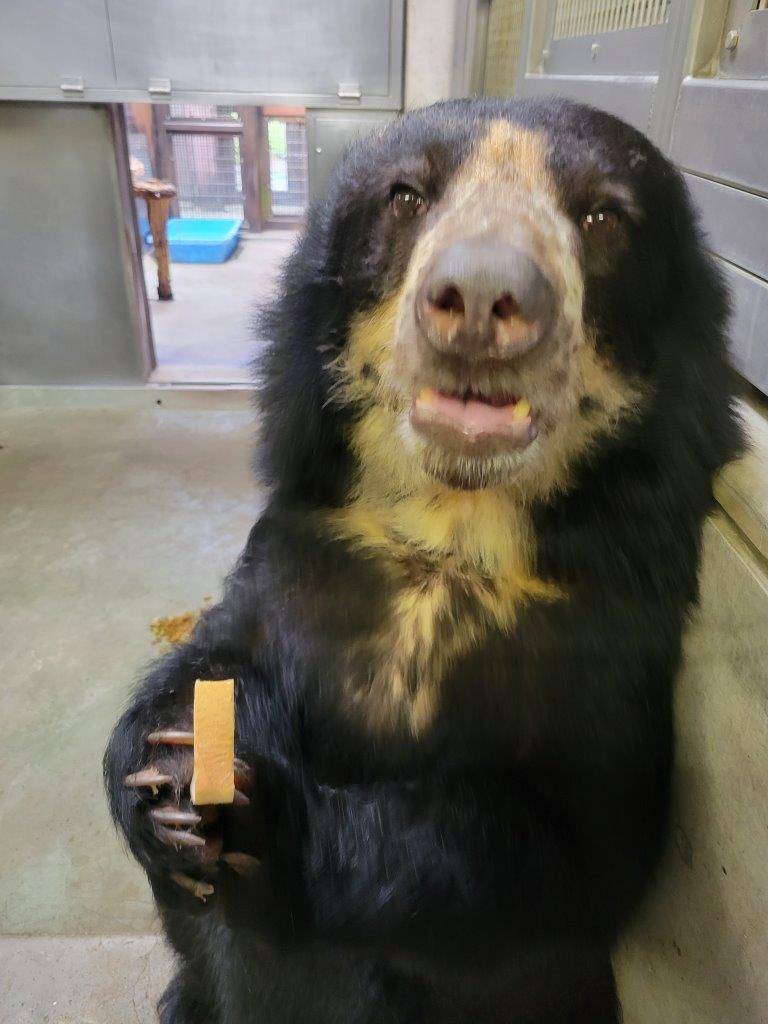 食パンを食べる美雨②
