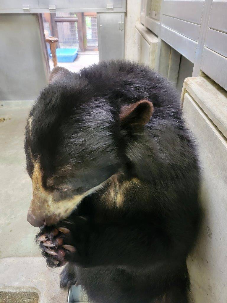 食パンを食べる美雨⑤