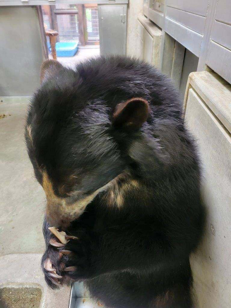 食パンを食べる美雨⑥