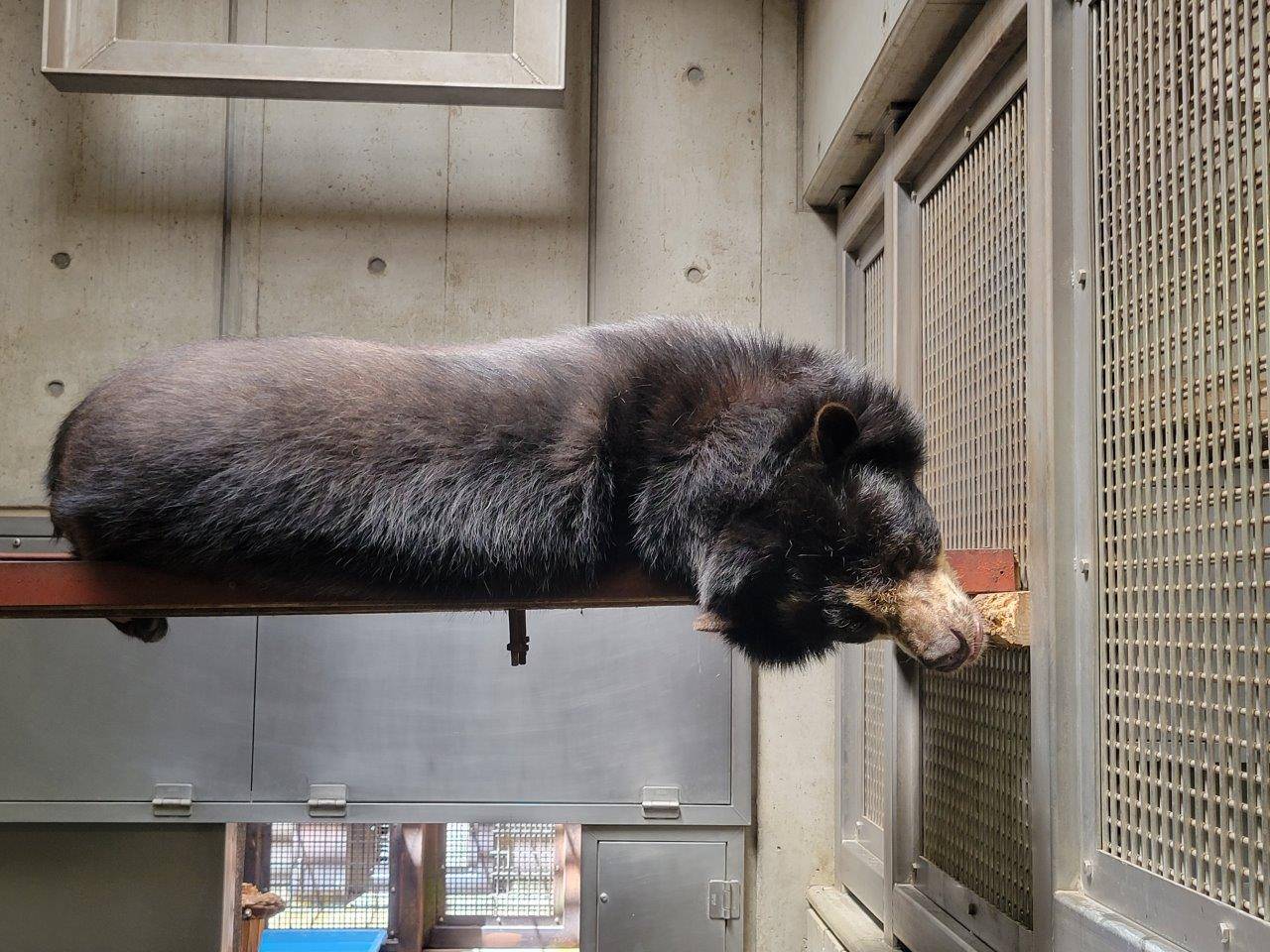 寝室の寝台上で休む美雨①