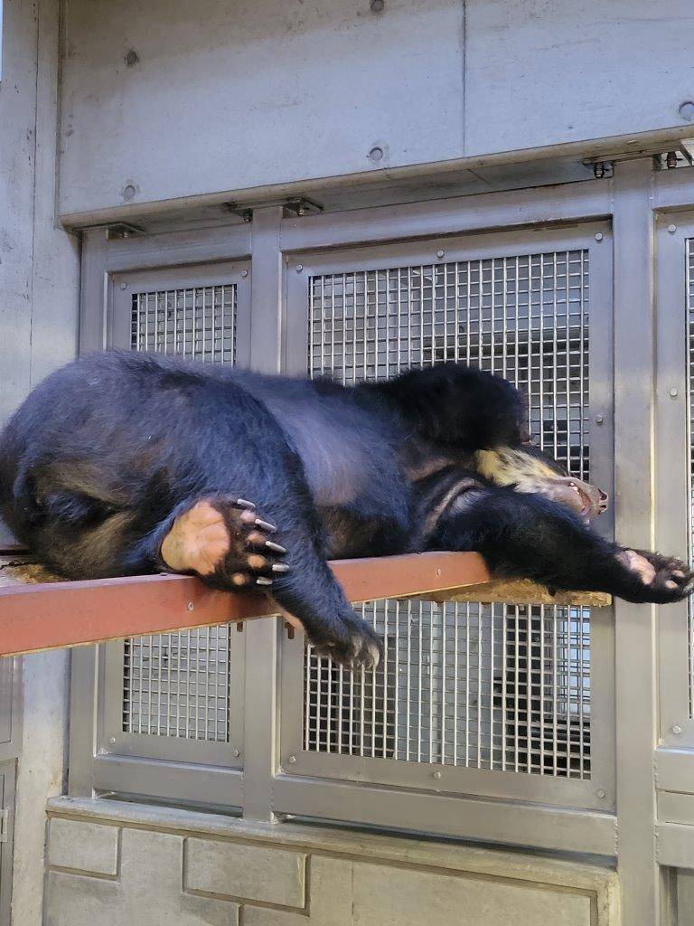 寝室の寝台上で休む美雨①