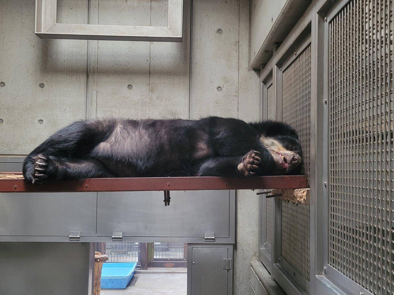 寝室の寝台上で休む美雨⑤