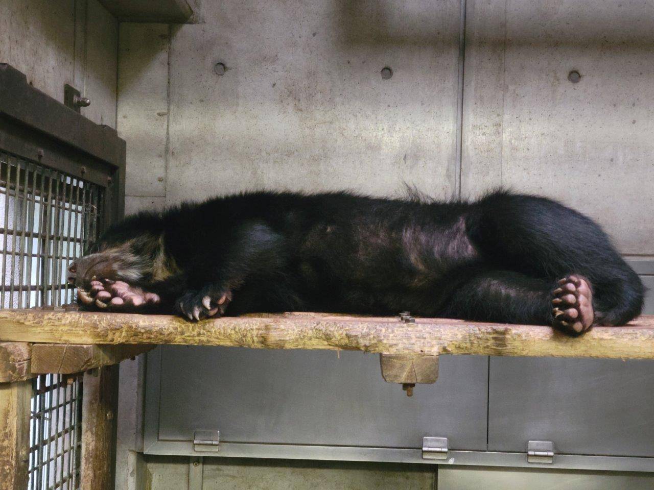 寝室の寝台上で休む美雪②