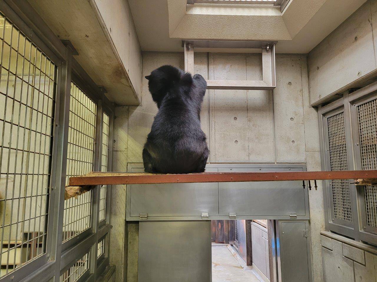 寝台上で立ち上がろうとする美雨