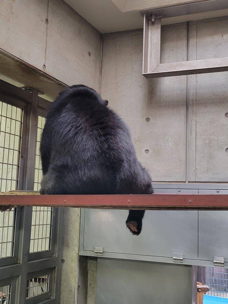 寝台上に腰掛ける美雨