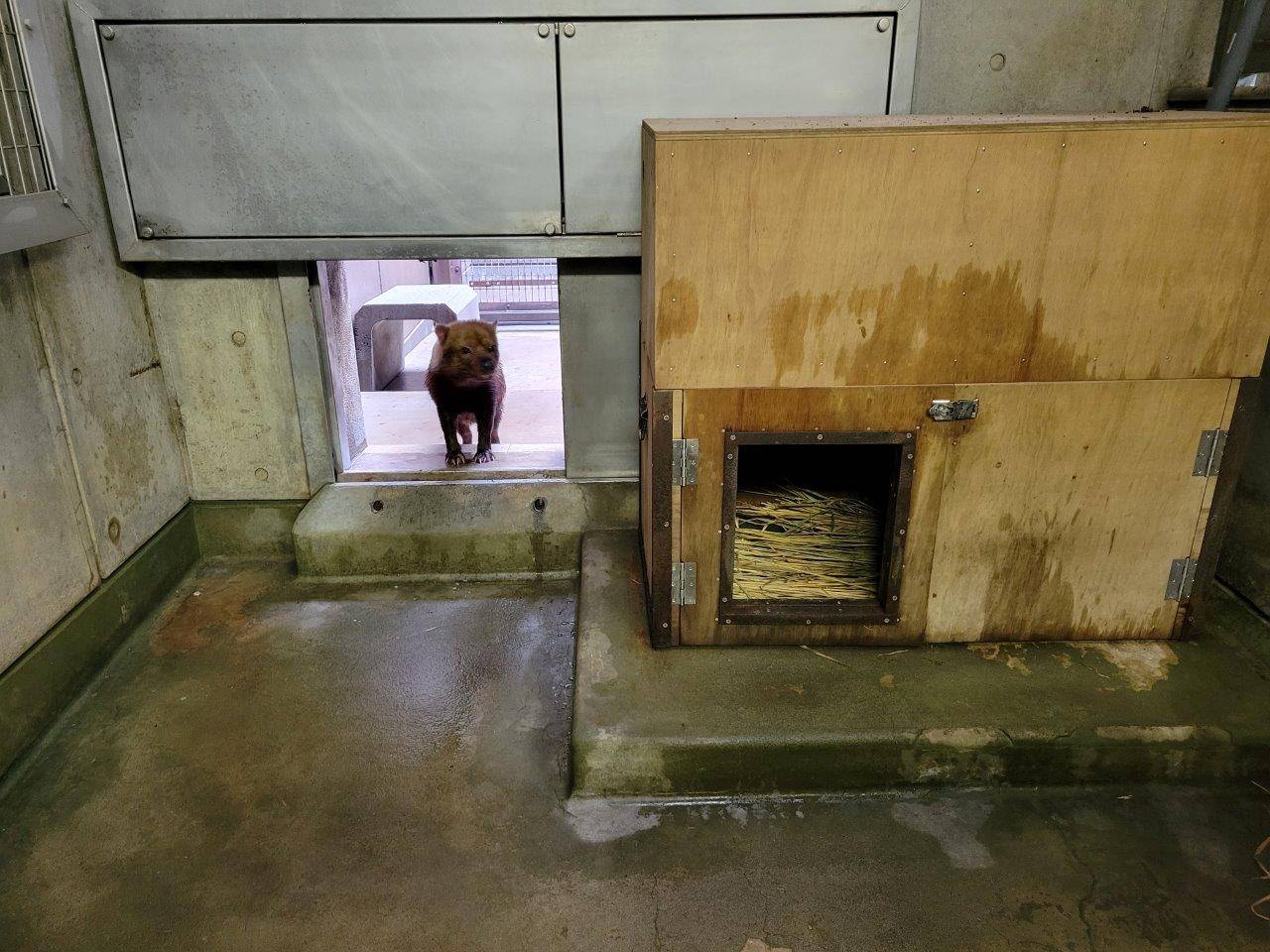 引っ越しを済ませた雄