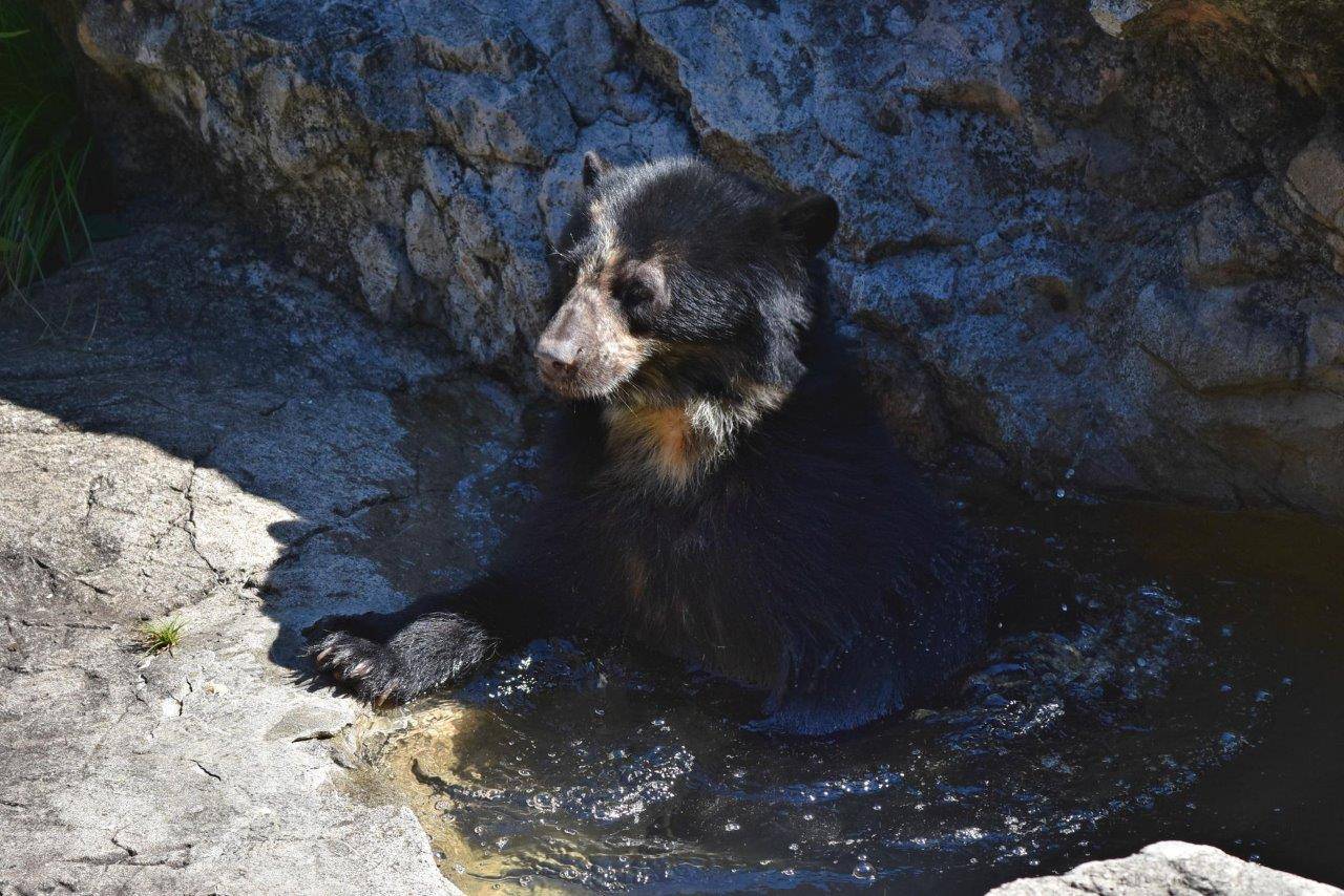 展示場のプールに入る美雨⑤