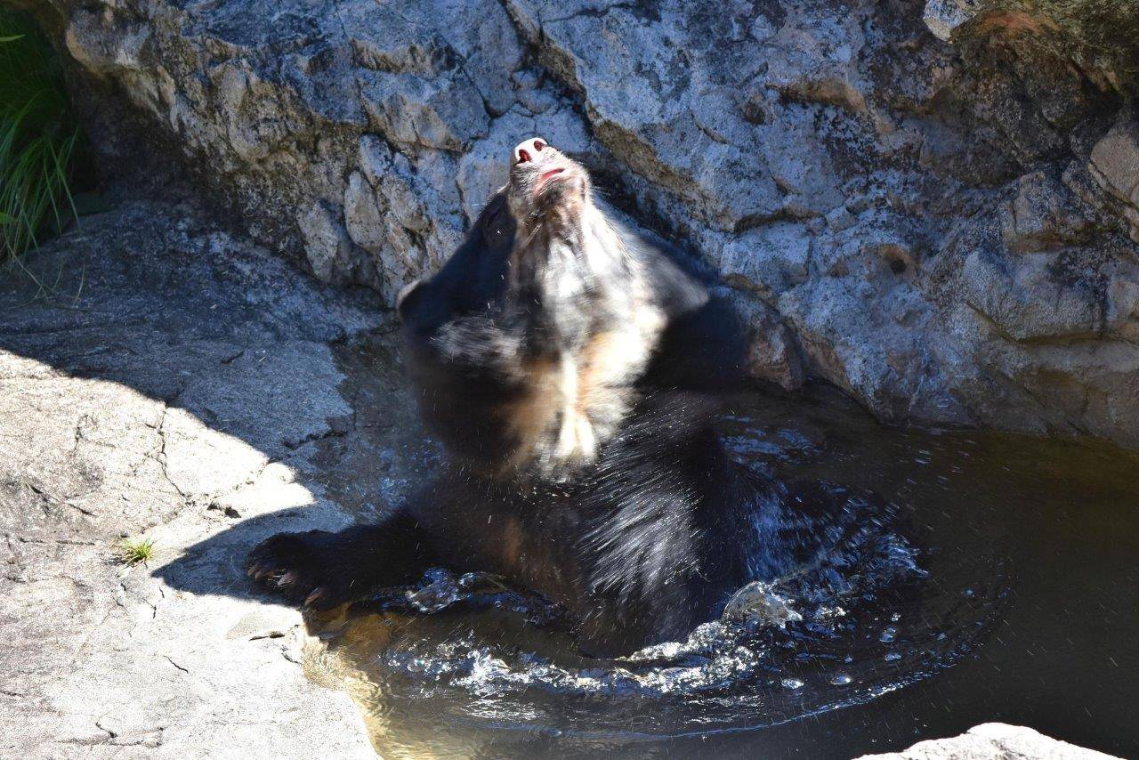 展示場のプールに入る美雨④