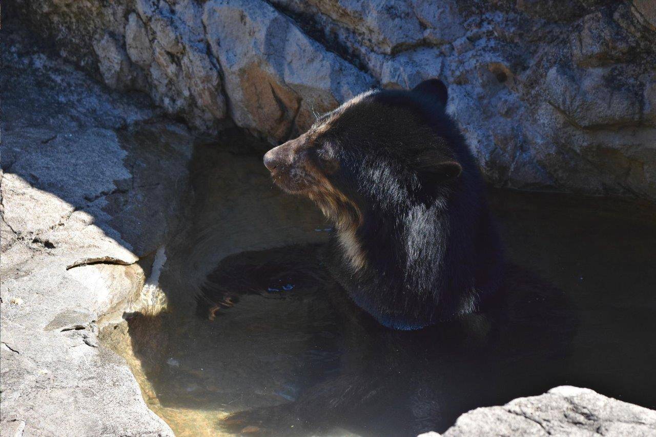 展示場のプールに入る美雨③