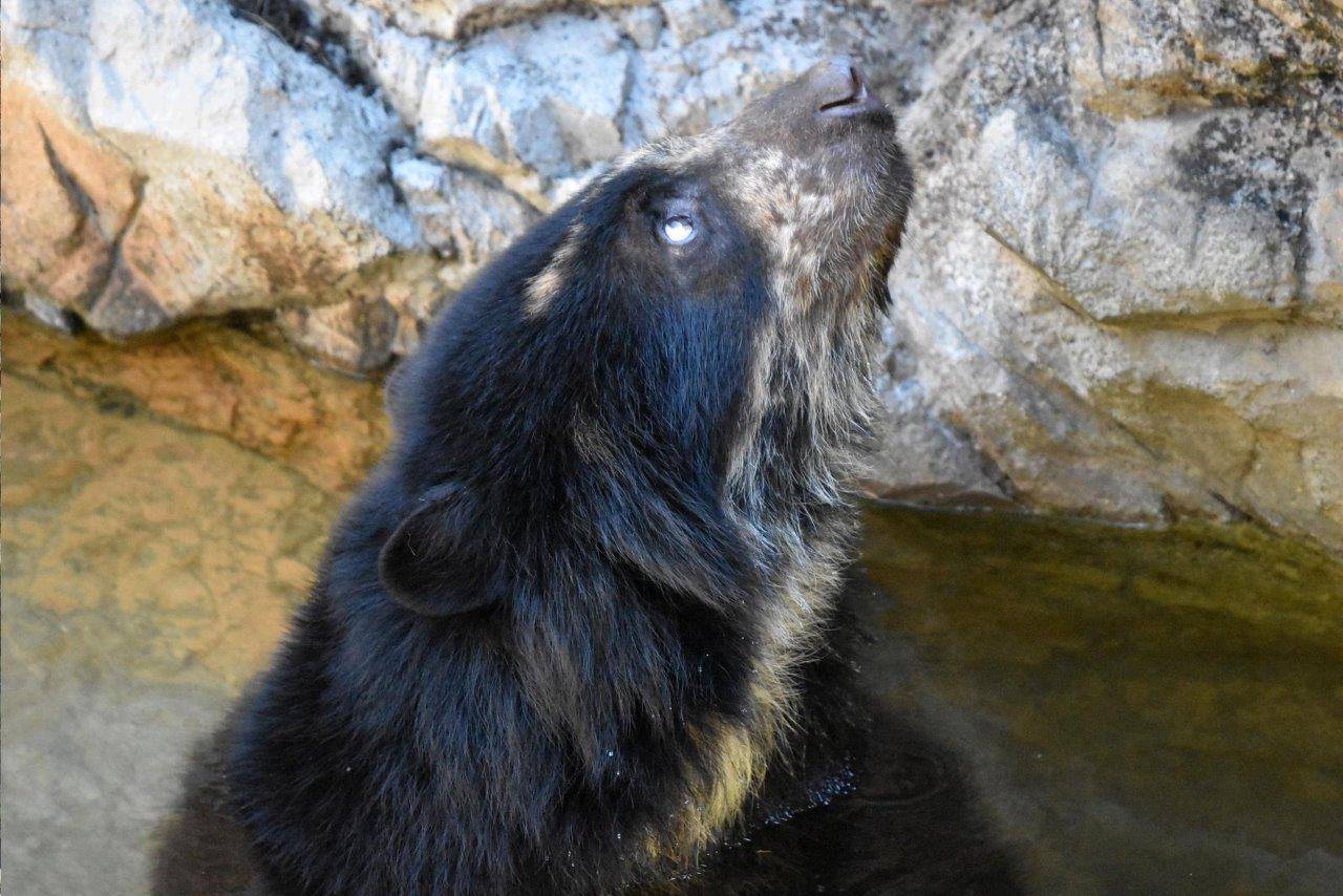 展示場のプールに入る美雨②