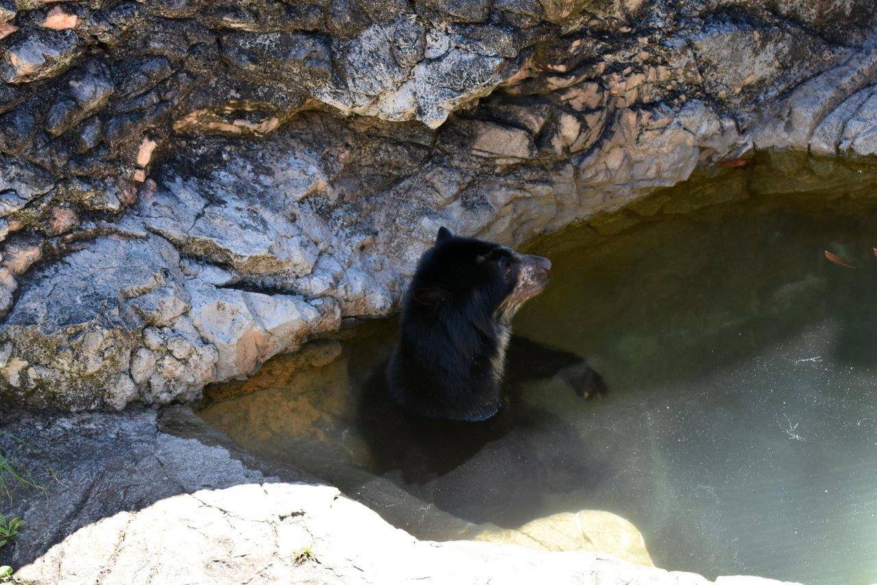展示場のプールに入る美雨①