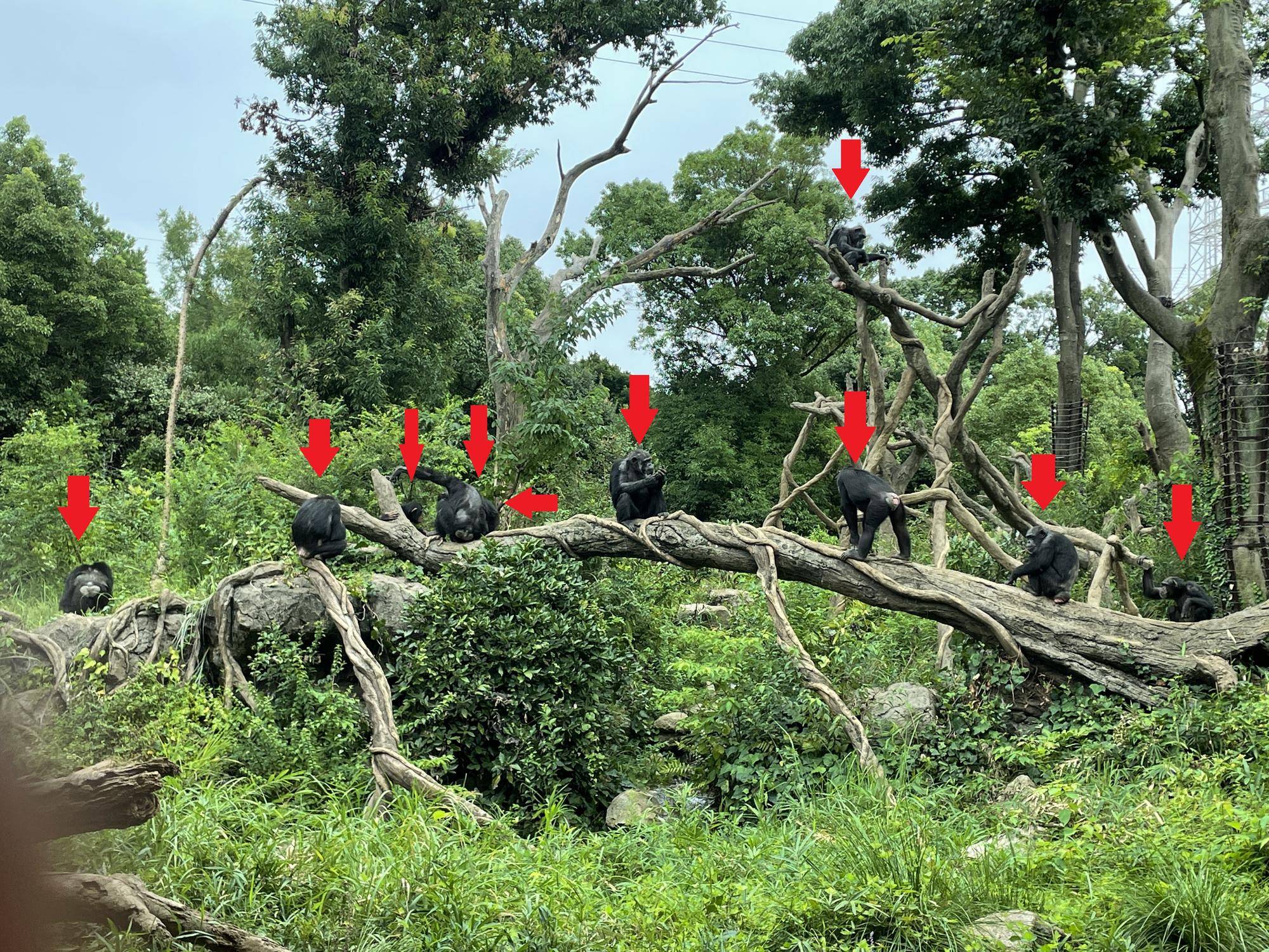 すくなそうなほう 正解.jpg