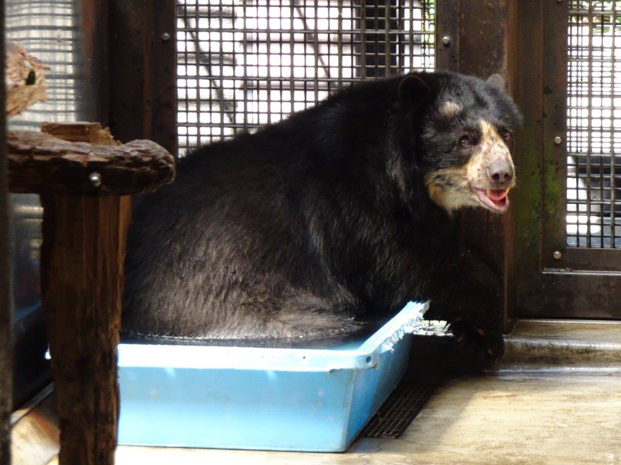 小さな簡易プールに浸かる美雨