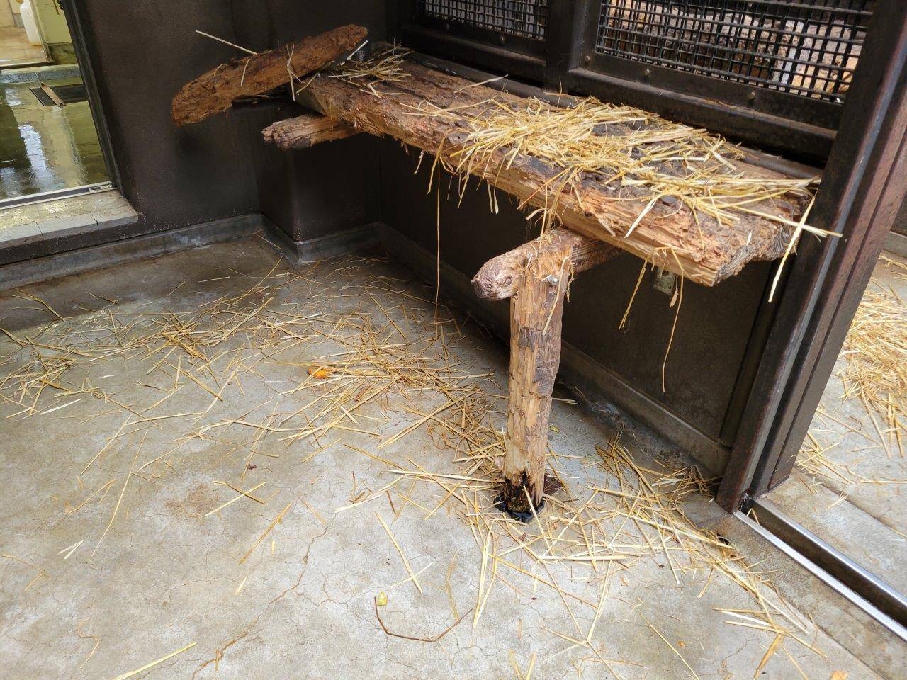 美雨が寄りかかっていた寝台①