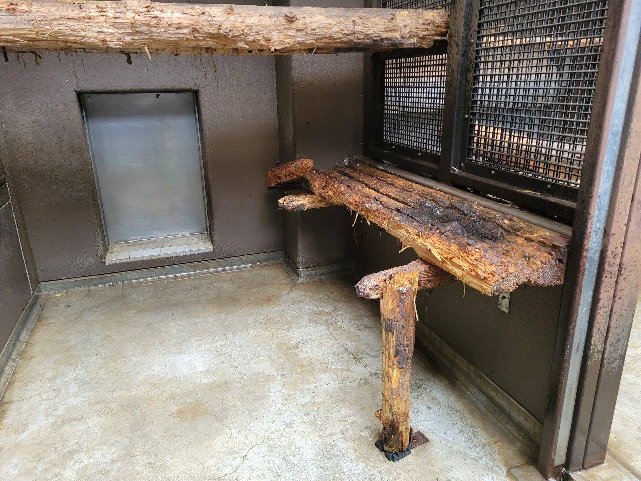 美雨が寄りかかっていた寝台②