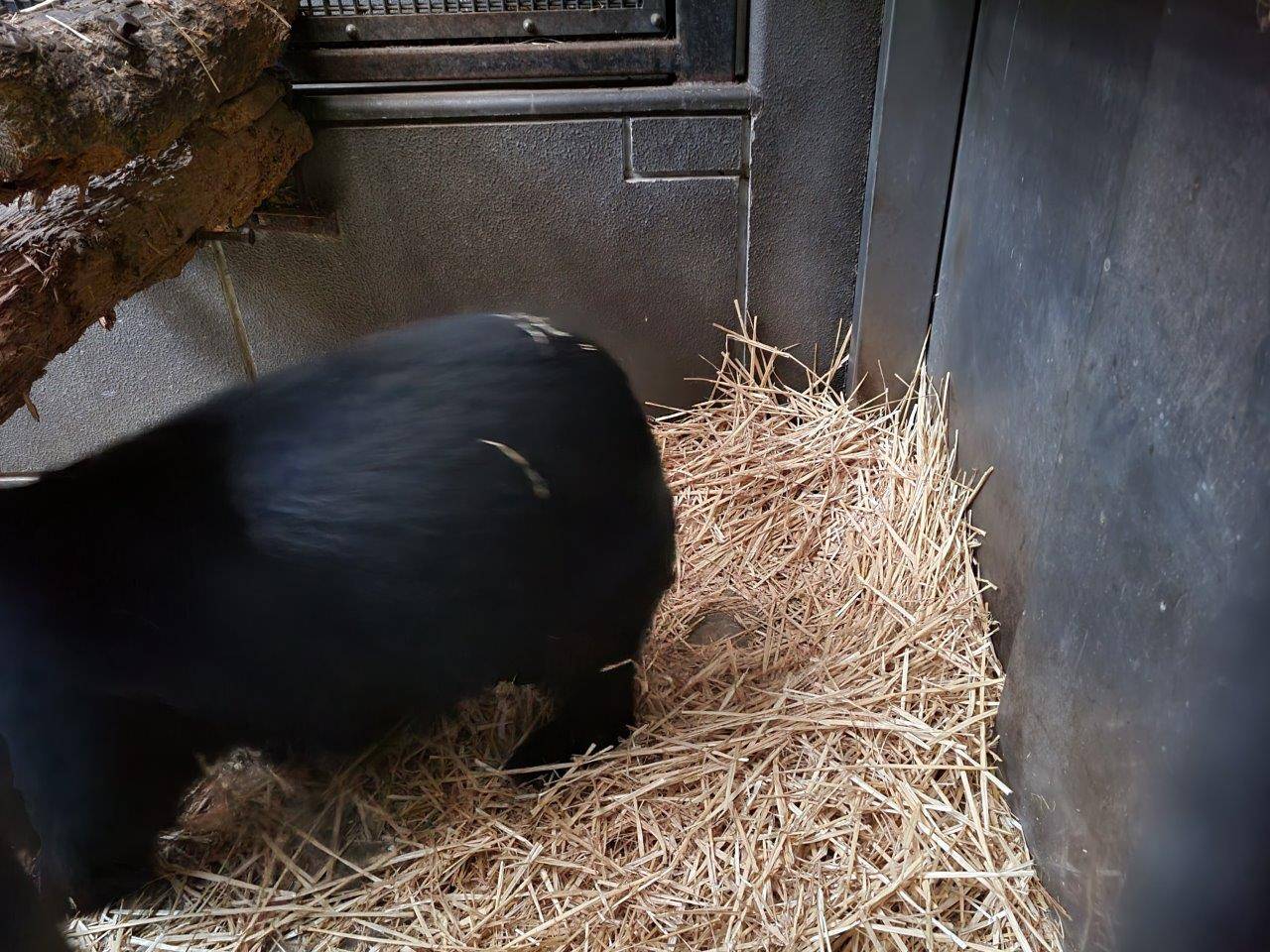 座るところはくぼんでいる寝床