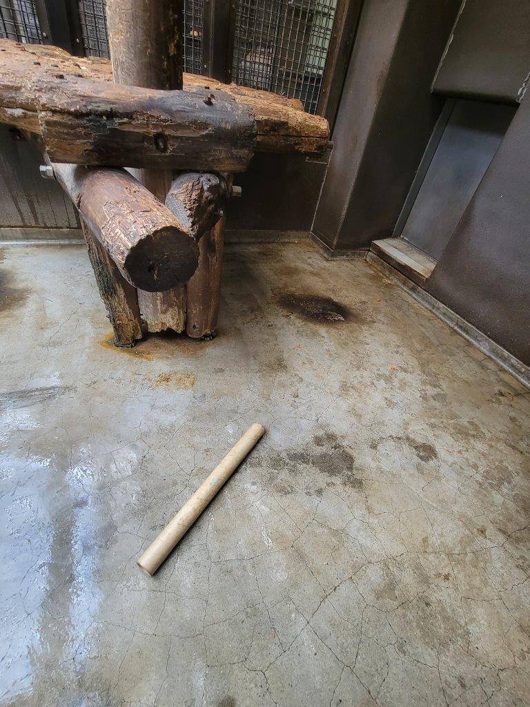 美雪は筒を落とすまでしました