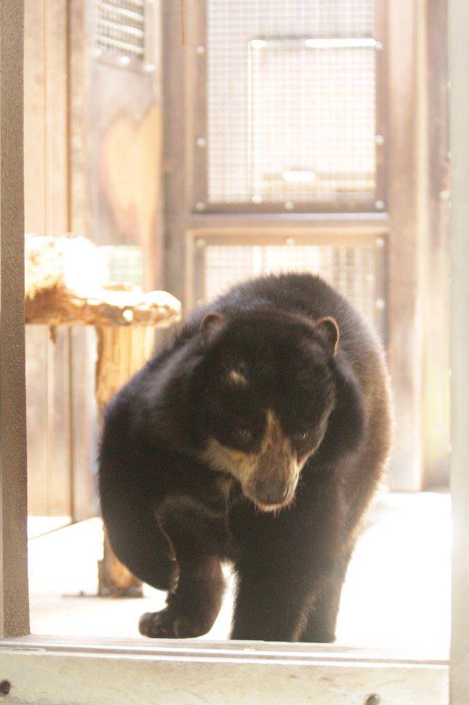 サブ運動場から寝室に向かう美雨