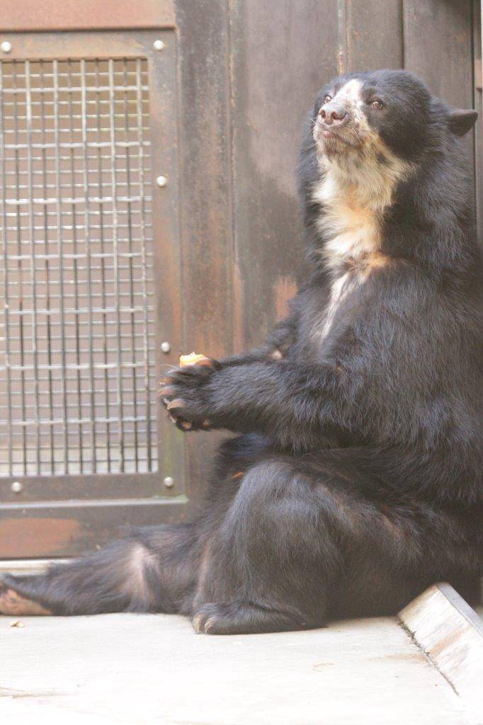 サブ運動場の隅っこに腰を下ろす美雨①