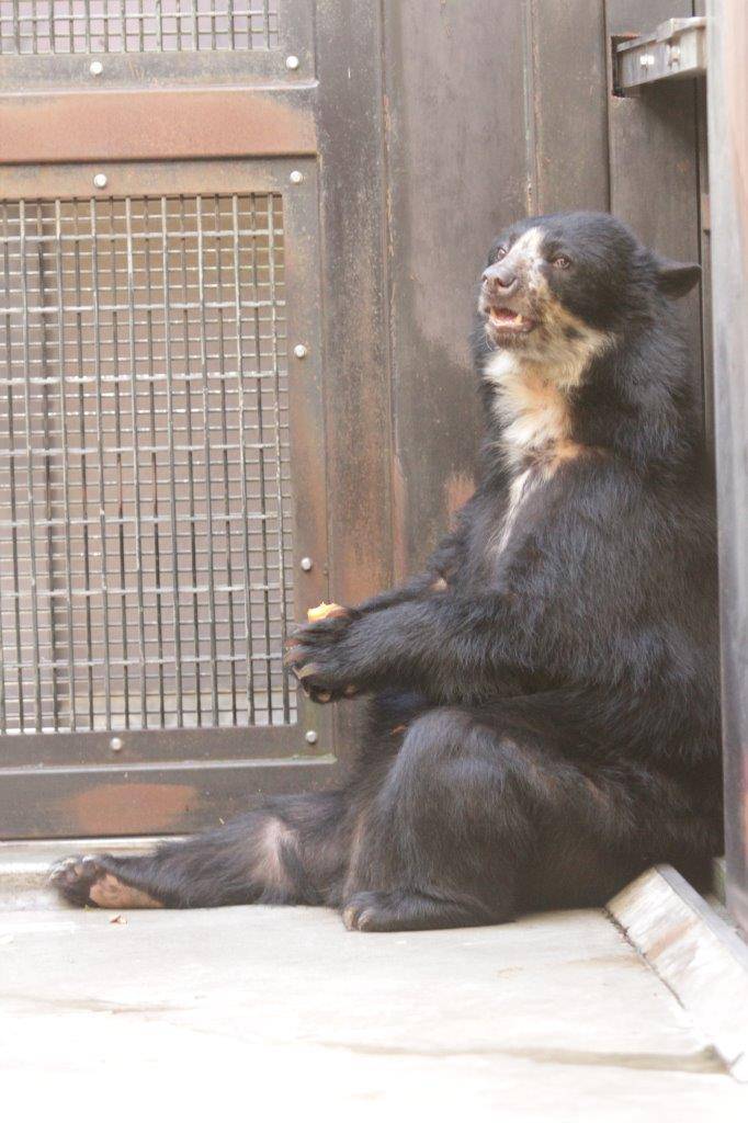 サブ運動場の隅っこに腰を下ろす美雨②