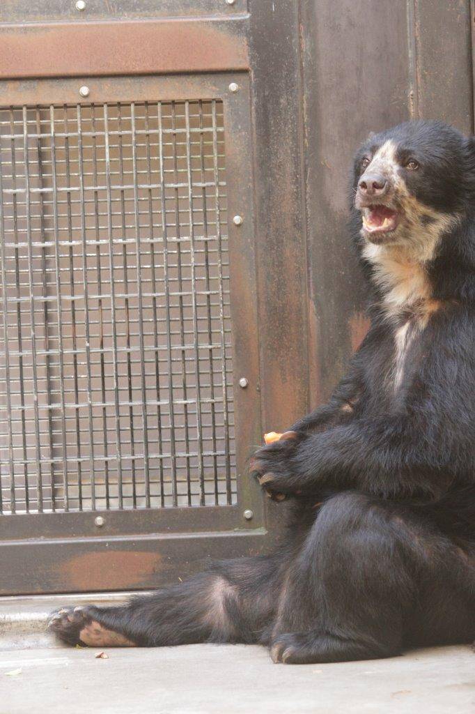 サブ運動場の隅っこに腰を下ろす美雨③