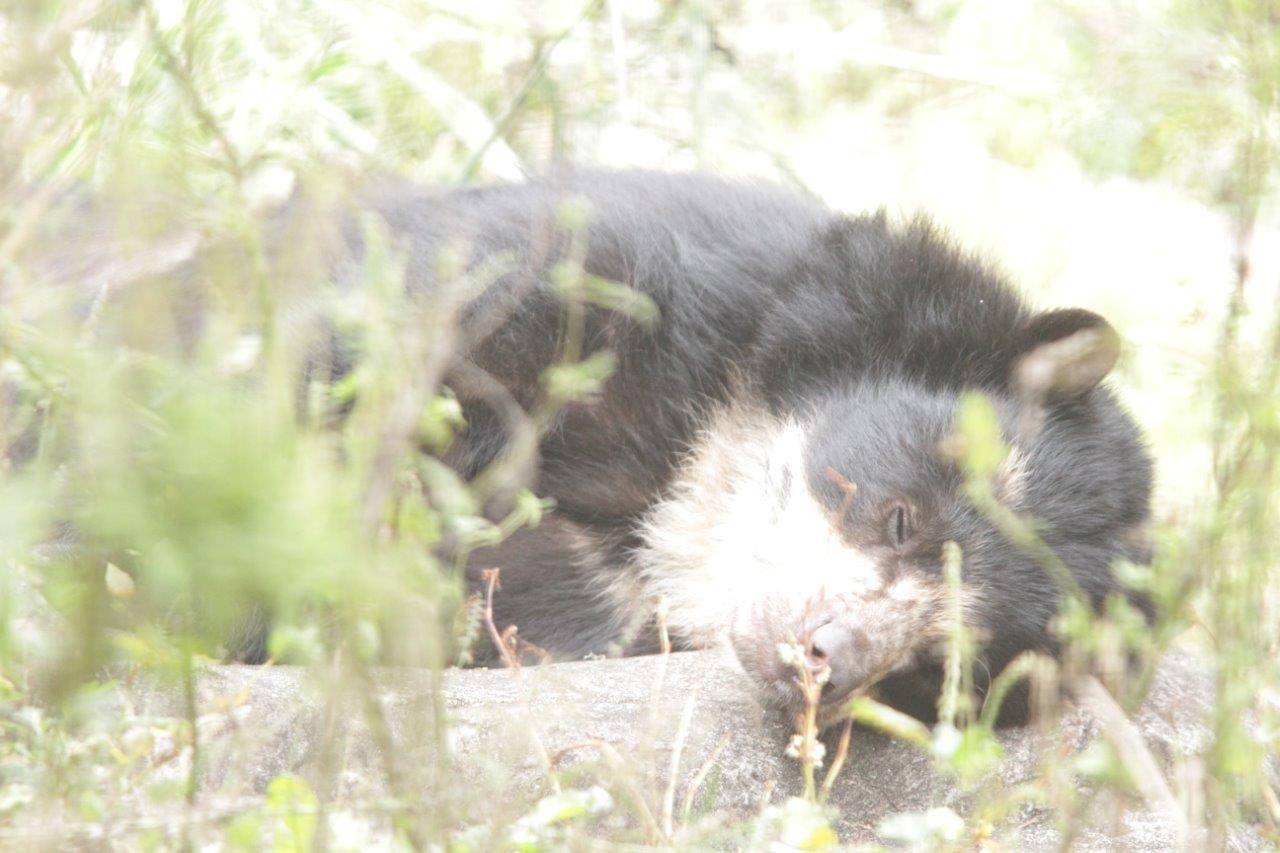 展示場でスヤスヤ眠る美雨①