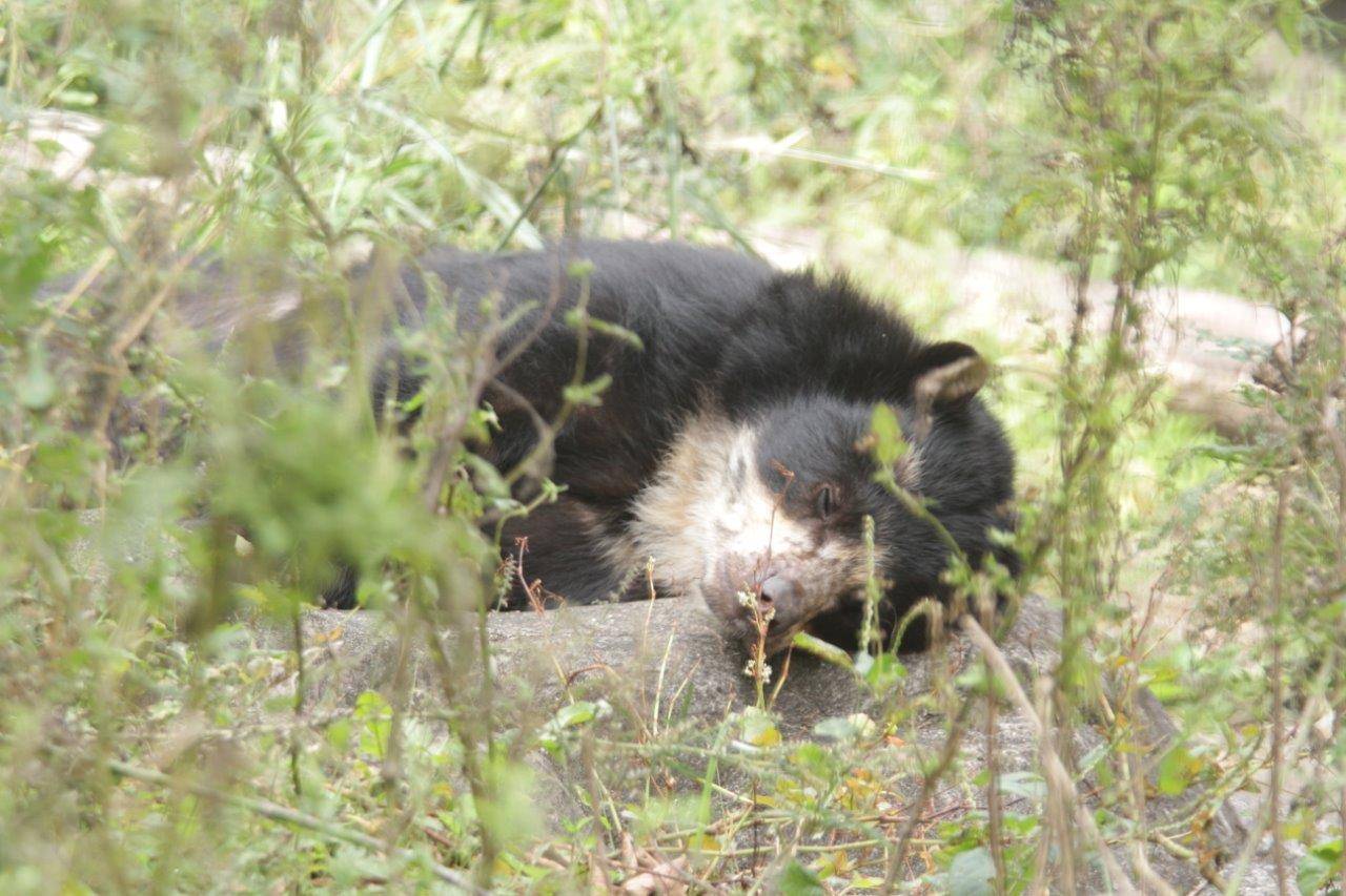 展示場でスヤスヤ眠る美雨②