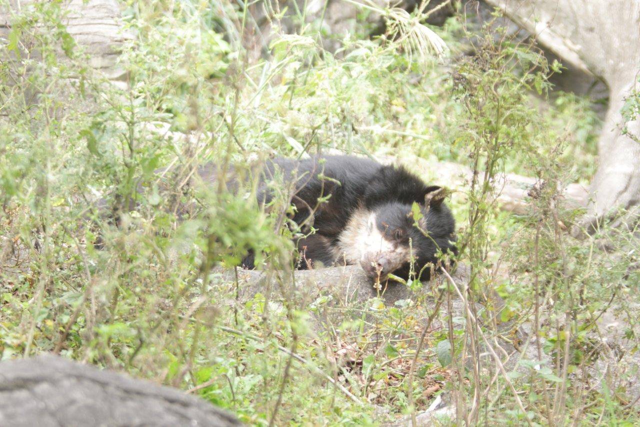 展示場でスヤスヤ眠る美雨③