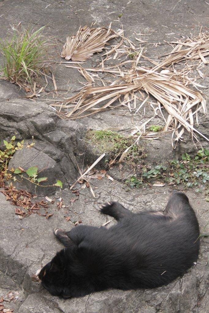 展示場で眠る美雨