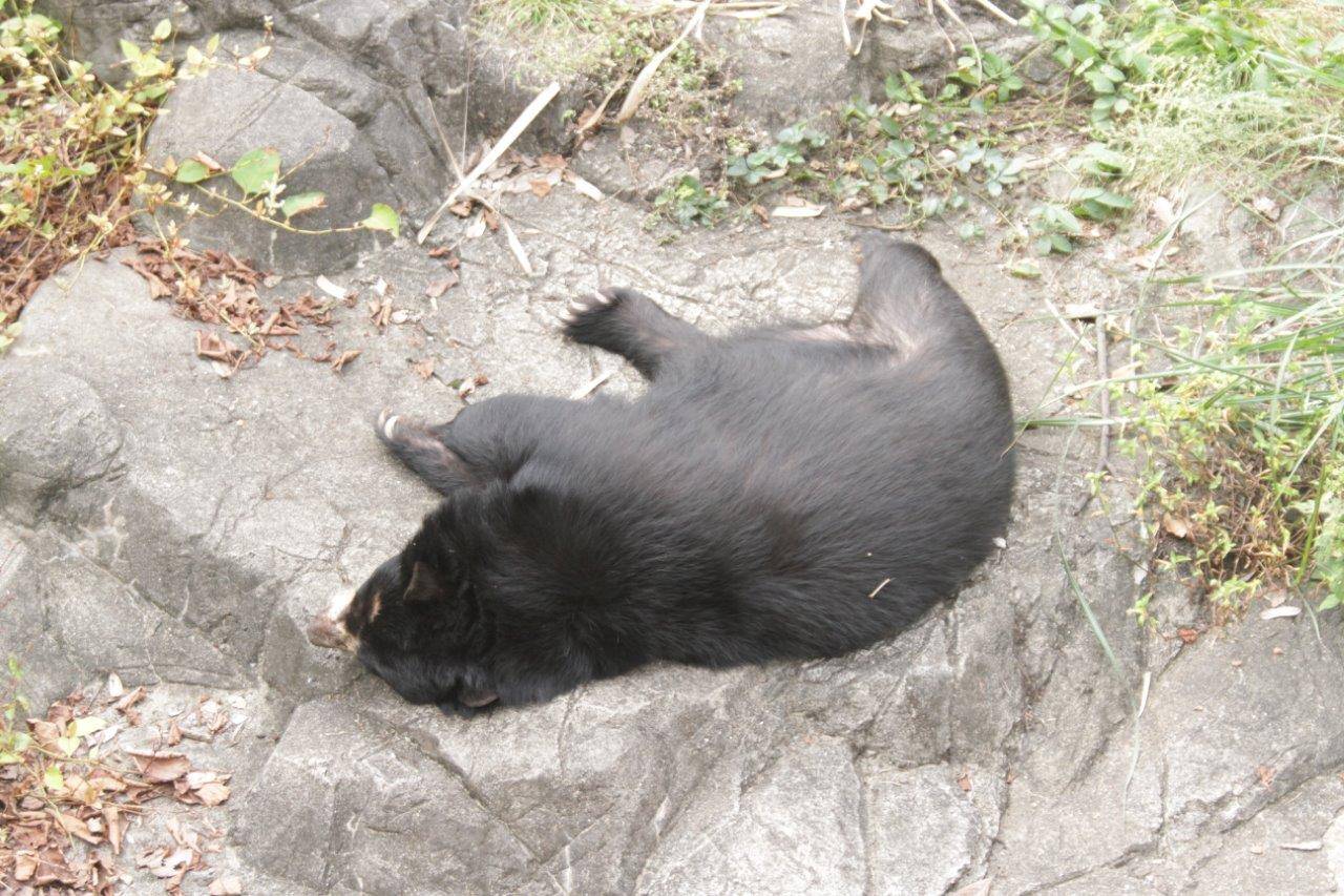 展示場でスヤスヤ眠る美雨④