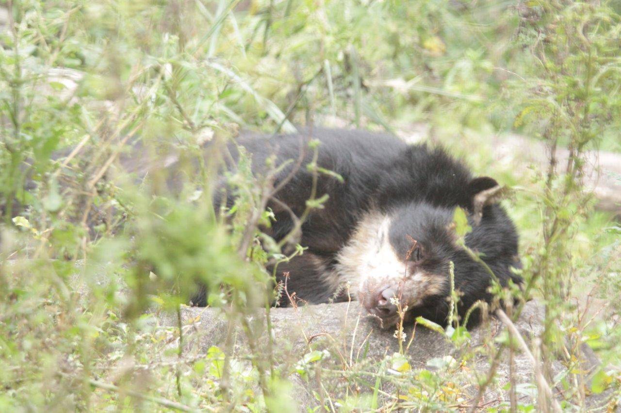 展示場でスヤスヤ眠る美雨⑤