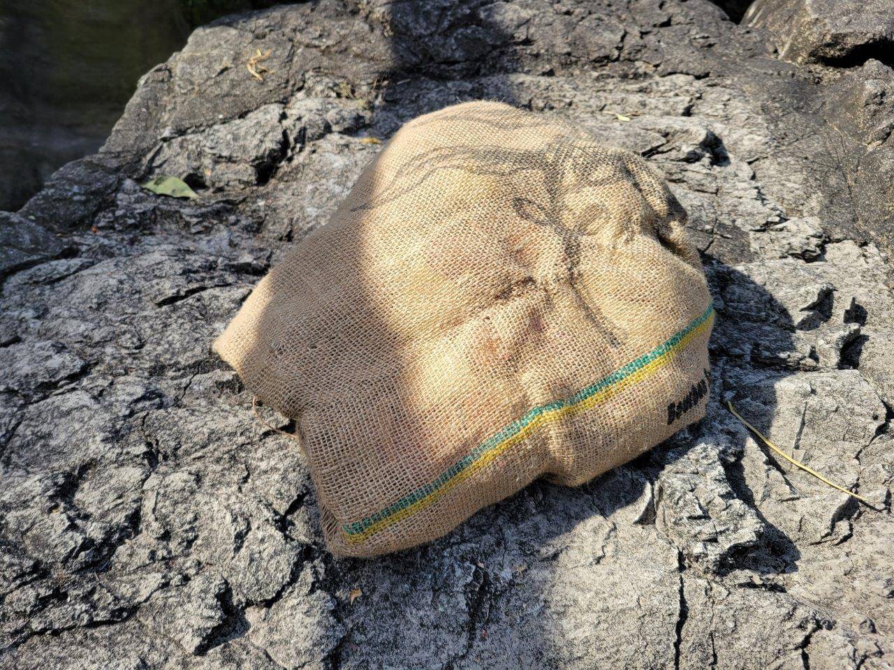擬岩上に置かれた餌の入った麻袋①