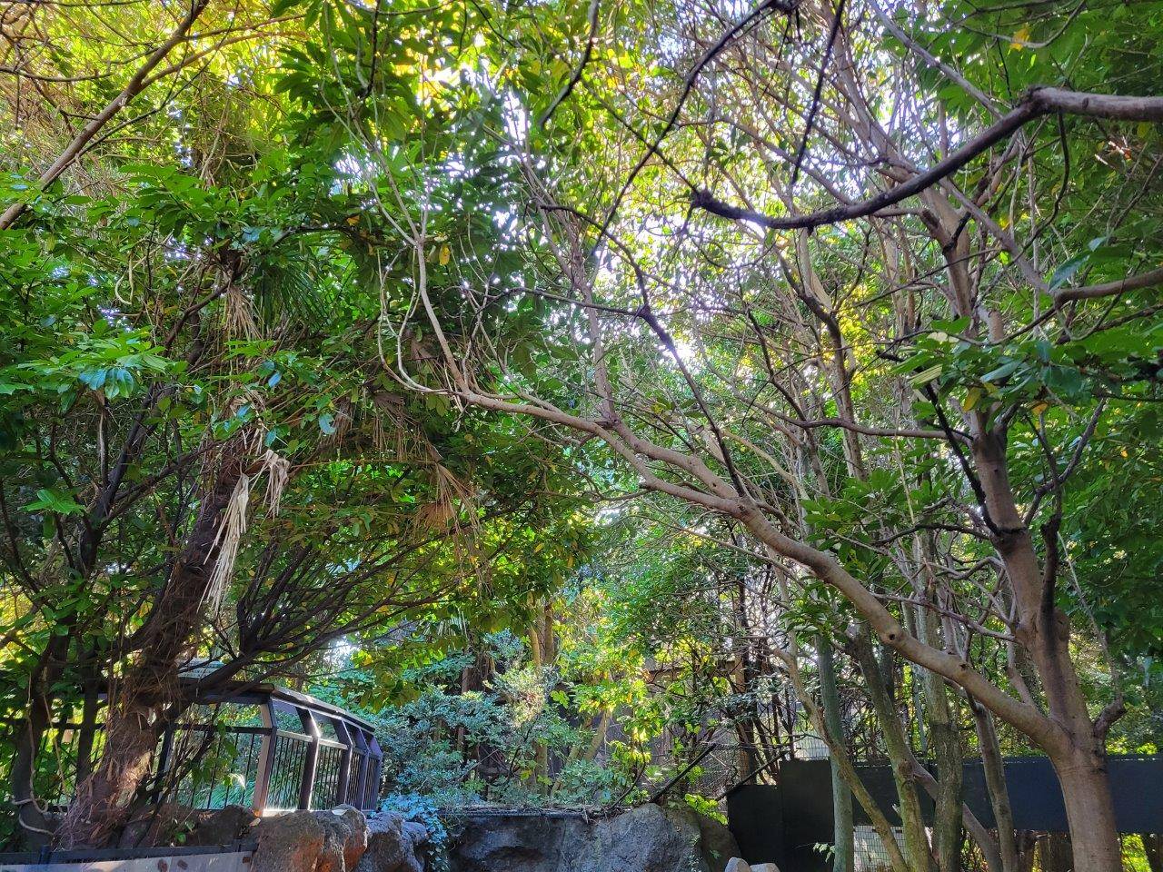 うっそうとしていた展示場②