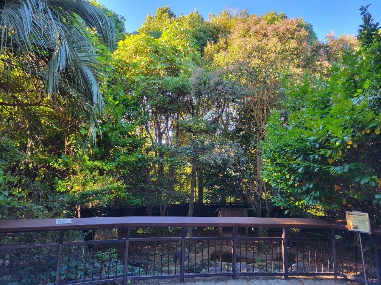 うっそうとしていた展示場④