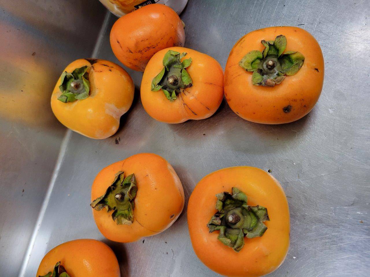 メガネグマ達に与えた柿