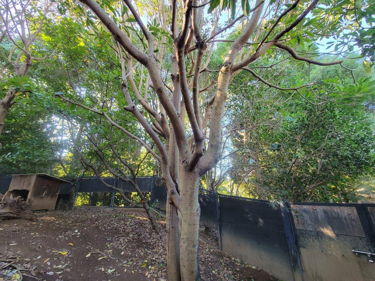 明るくなった展示場②